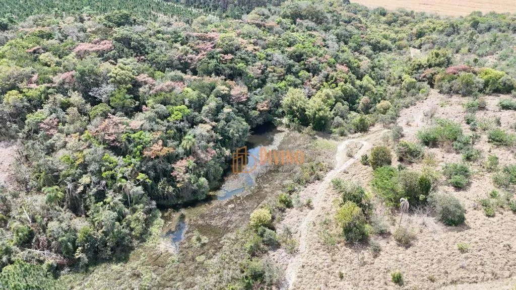 Fazenda à venda de 128 ha em Itapetininga, SP, Brasil