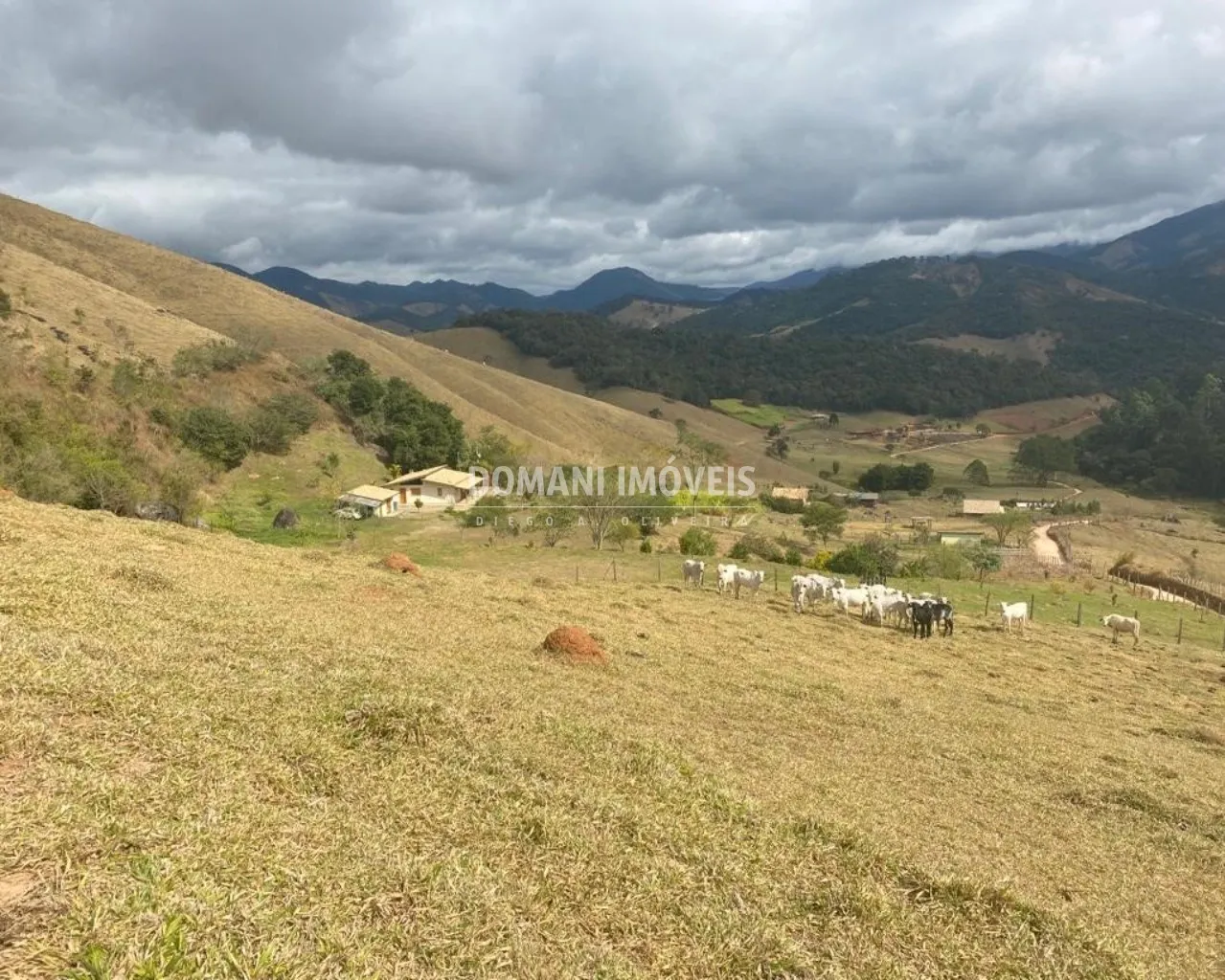 Sítio à venda de 24 ha em Sapucaí-Mirim, MG, Brasil