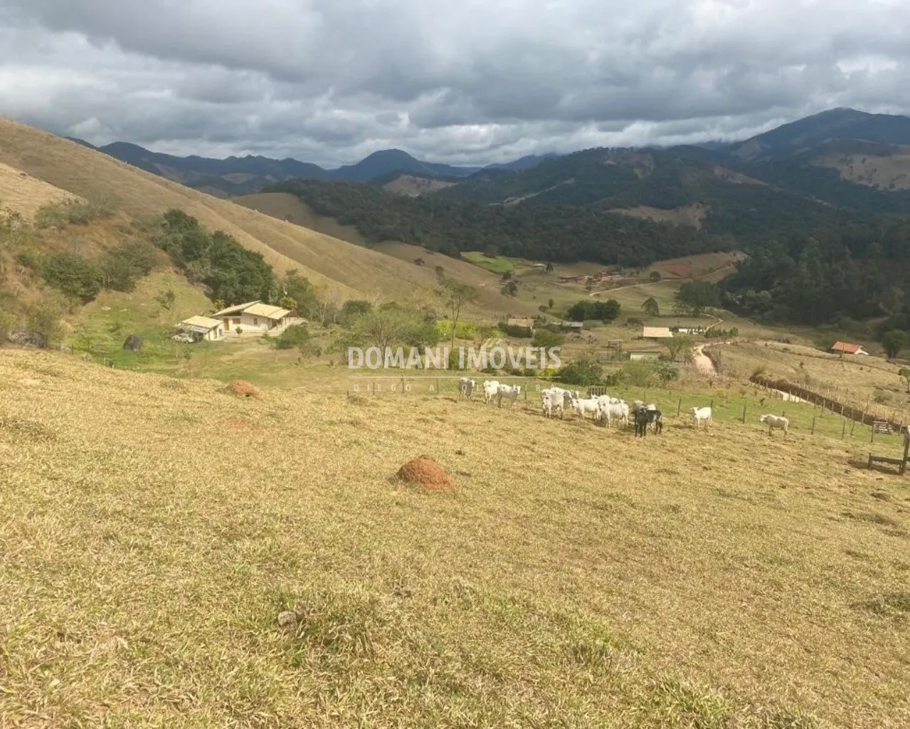 Sítio à venda de 24 ha em Sapucaí-Mirim, MG, Brasil