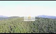 Fazenda à venda de 600 ha em Pindamonhangaba, SP, Brasil
