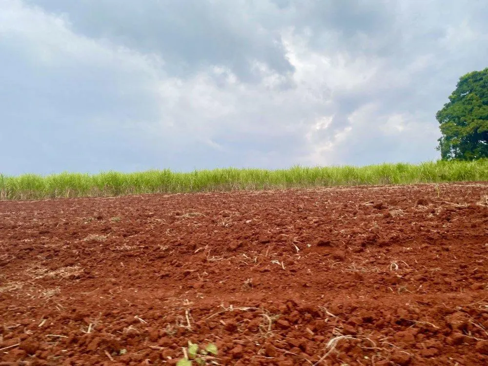Sítio à venda de 34 ha em Descalvado, SP, Brasil