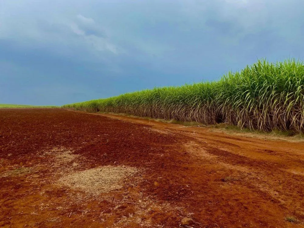 Sítio à venda de 34 ha em Descalvado, SP, Brasil