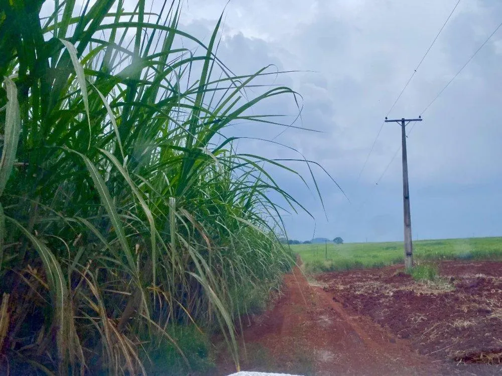 Sítio à venda de 34 ha em Descalvado, SP, Brasil
