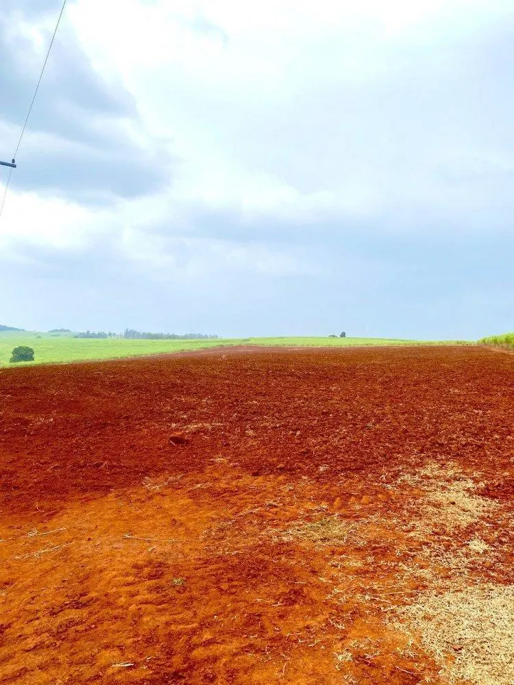 Sítio à venda de 34 ha em Descalvado, SP, Brasil