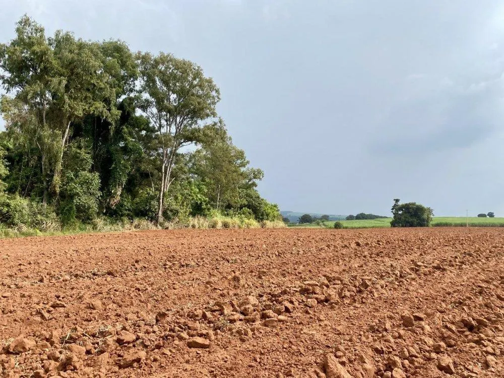 Sítio à venda de 34 ha em Descalvado, SP, Brasil