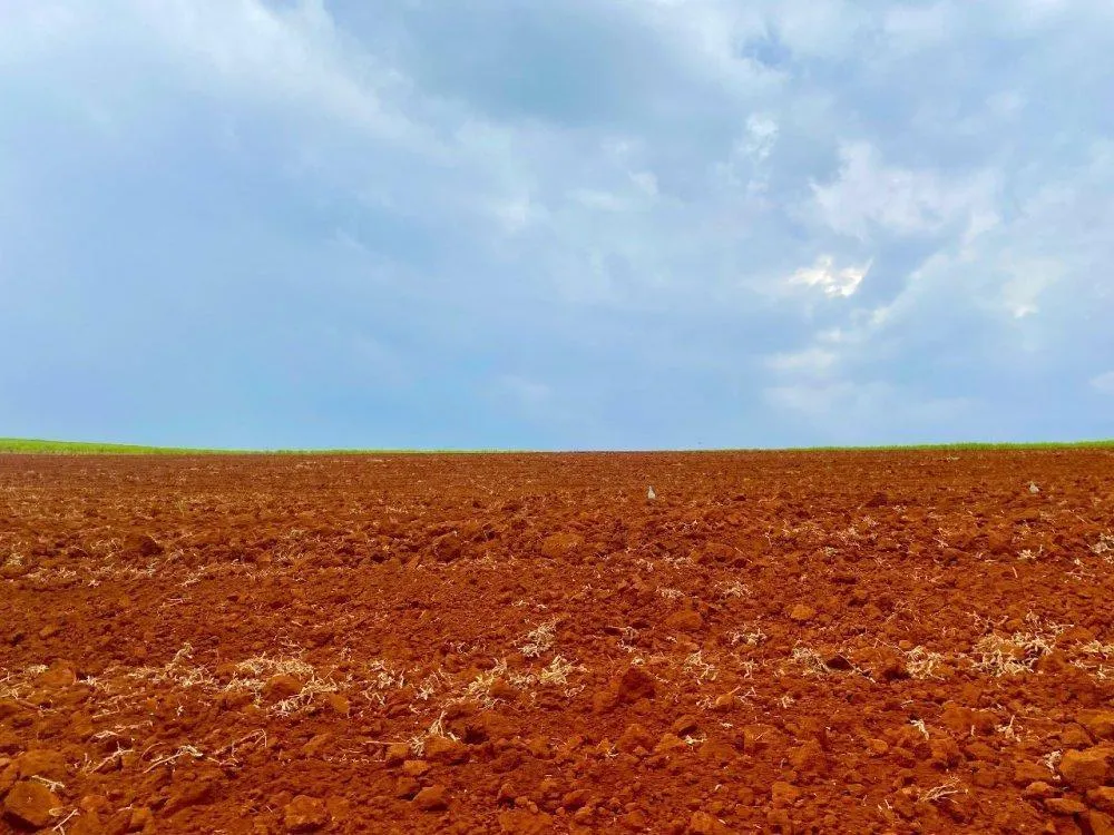 Sítio à venda de 34 ha em Descalvado, SP, Brasil