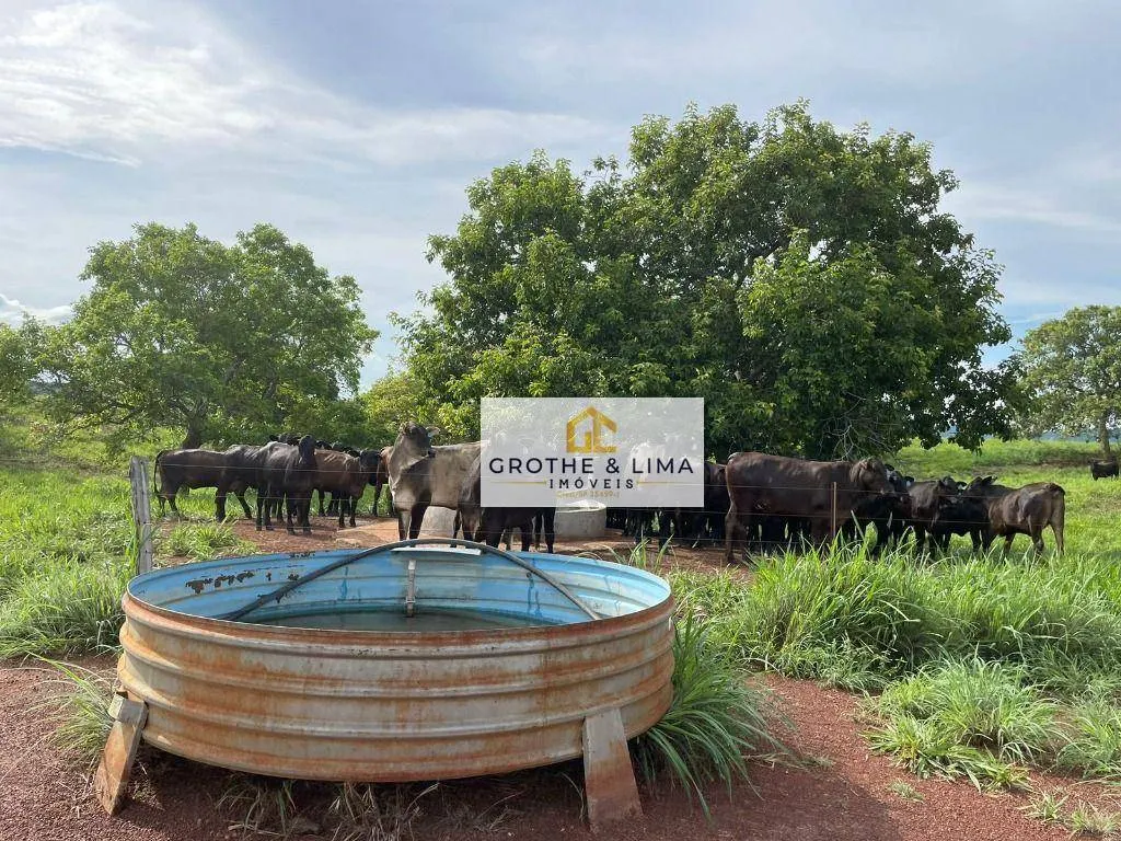 Fazenda à venda de 1.200 ha em Palmas, TO, Brasil