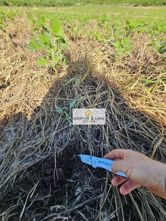 Fazenda à venda de 1.200 ha em Palmas, TO, Brasil