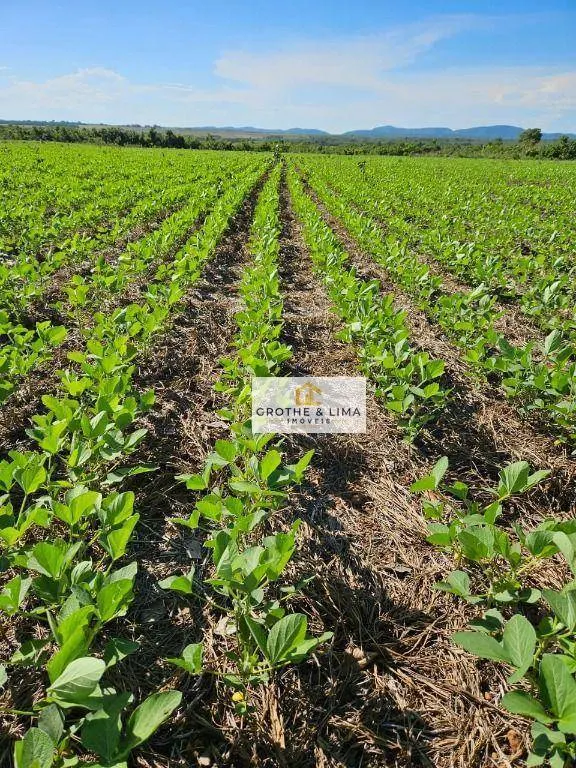 Fazenda à venda de 1.200 ha em Palmas, TO, Brasil