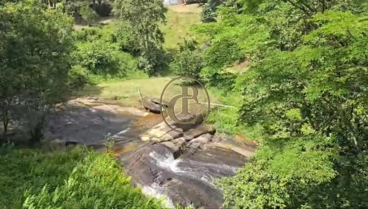 Fazenda à venda de 250 ha em Paraibuna, SP, Brasil