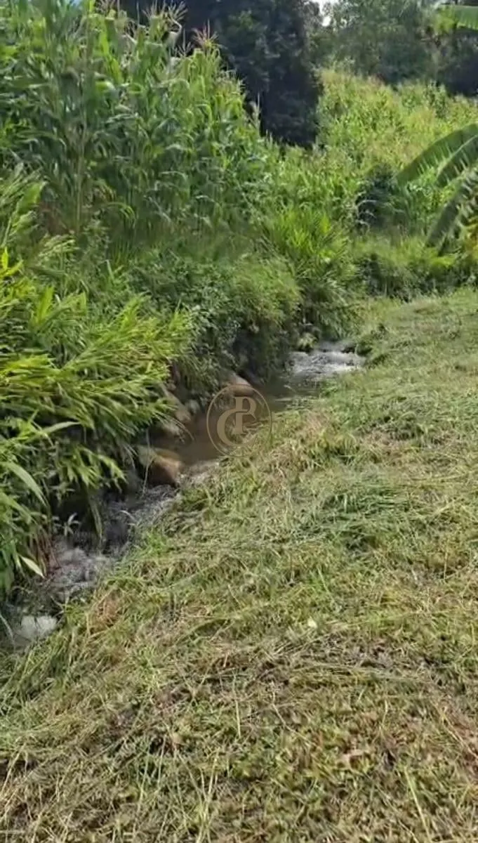 Fazenda à venda de 250 ha em Paraibuna, SP, Brasil