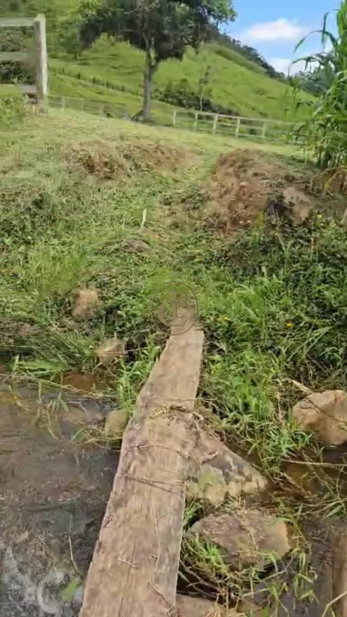 Fazenda à venda de 250 ha em Paraibuna, SP, Brasil