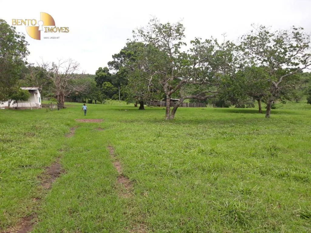Fazenda à venda de 106 ha em Poconé, MT, Brasil