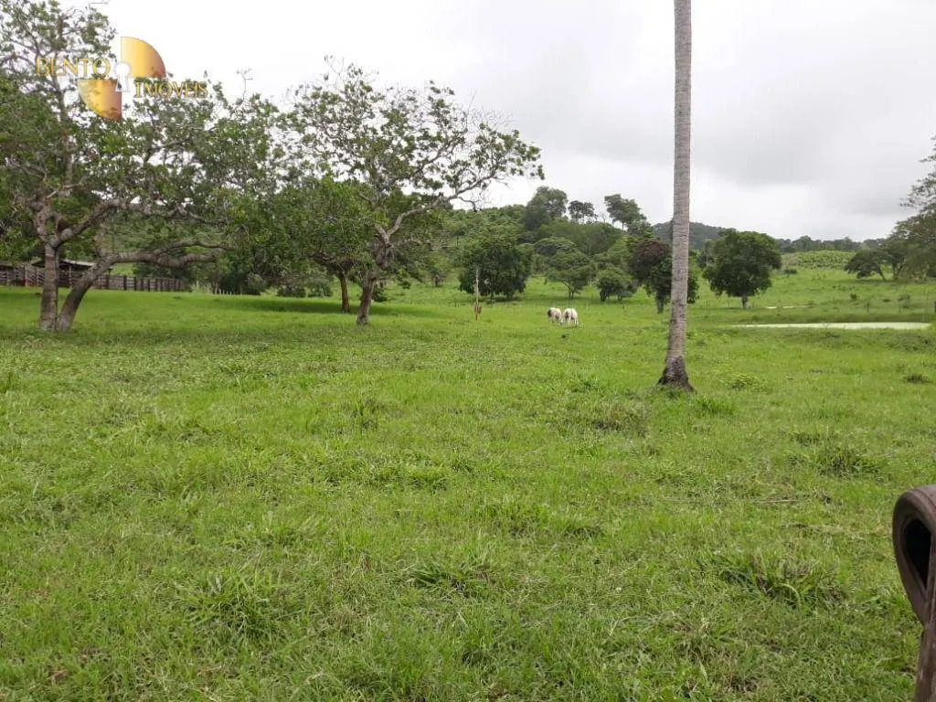Fazenda à venda de 106 ha em Poconé, MT, Brasil