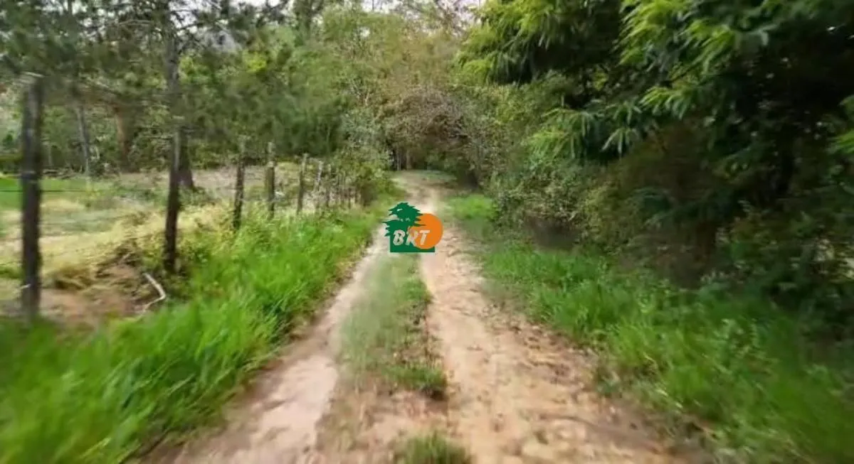 Chácara à venda de 3 ha em São Roque, SP, Brasil