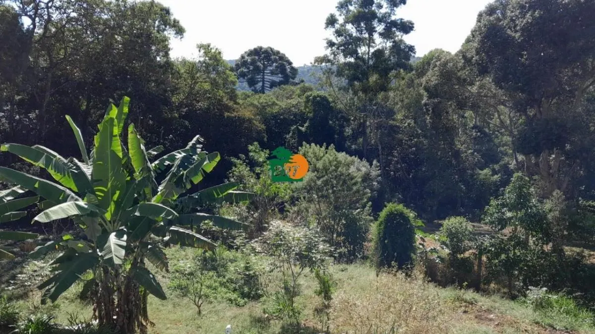 Chácara à venda de 3 ha em São Roque, SP, Brasil