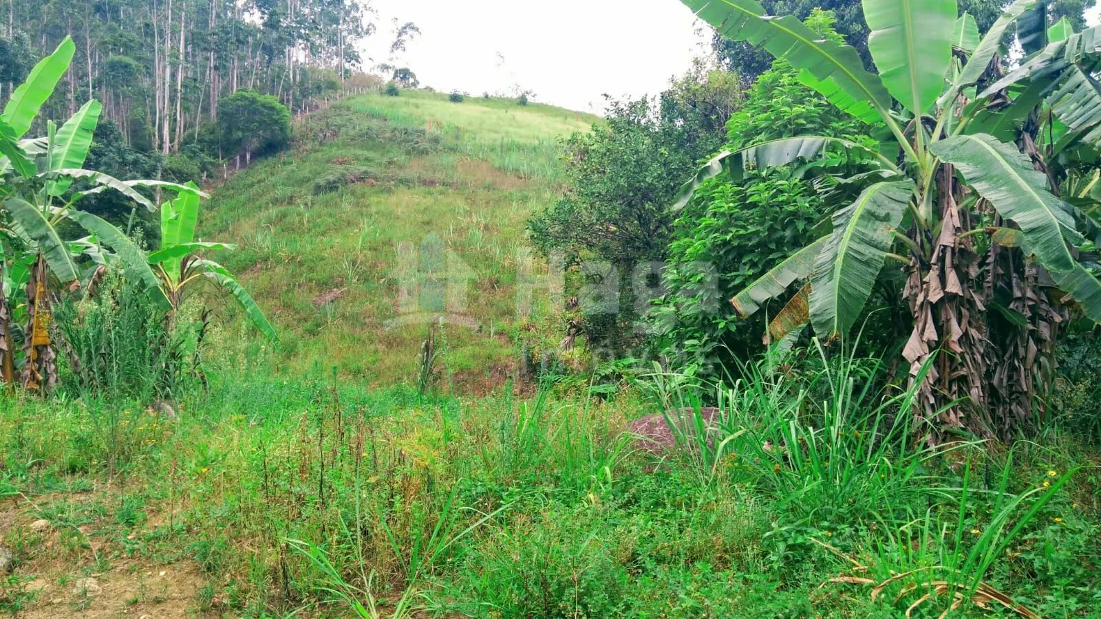 Fazenda à venda de 2 ha em São João Batista, SC, Brasil