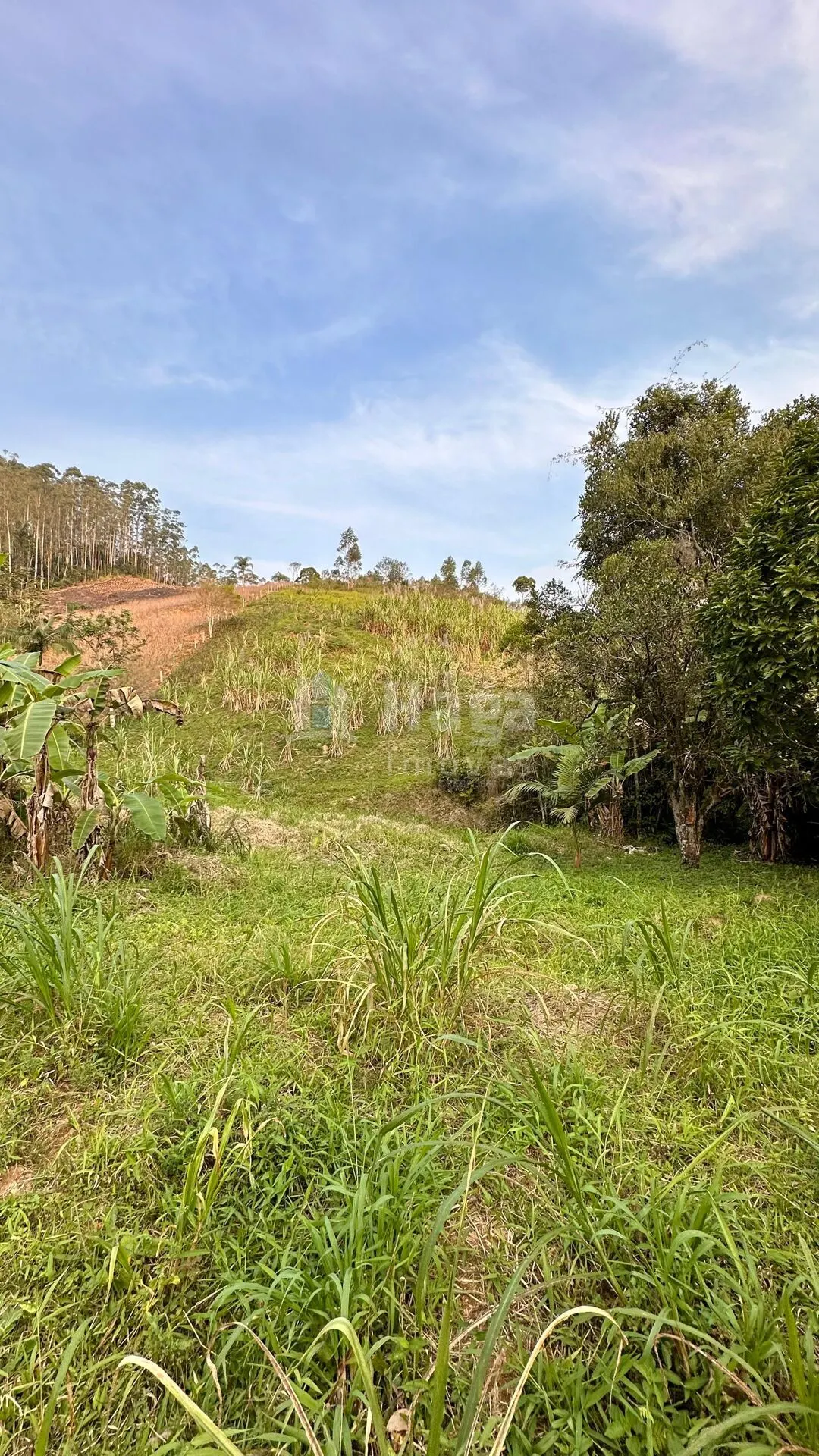 Fazenda à venda de 2 ha em São João Batista, SC, Brasil
