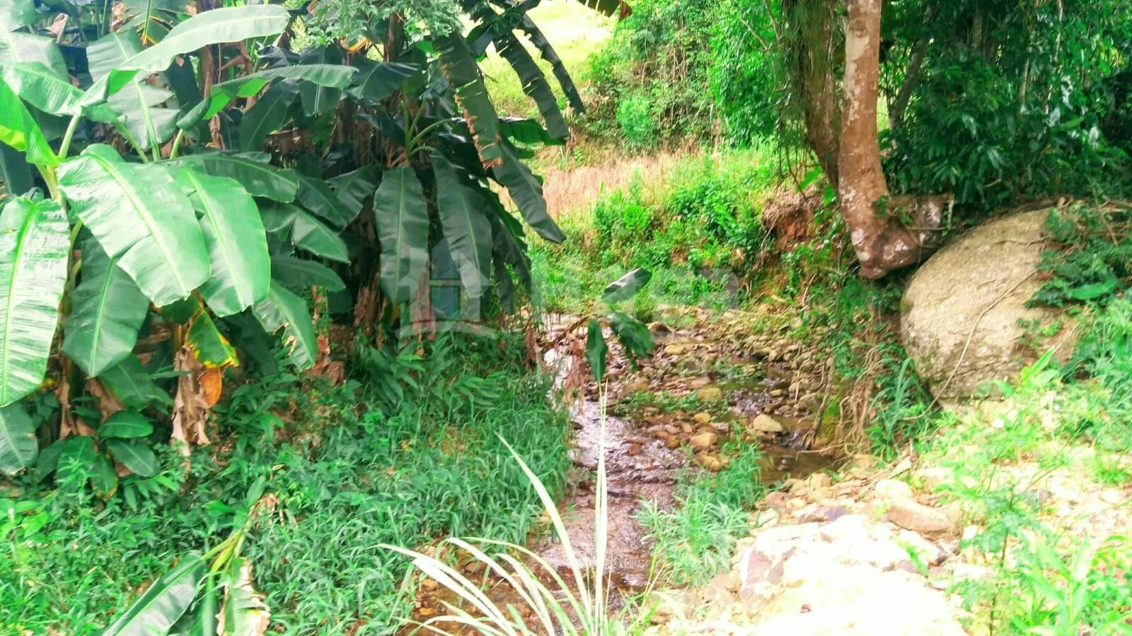Fazenda à venda de 2 ha em São João Batista, SC, Brasil