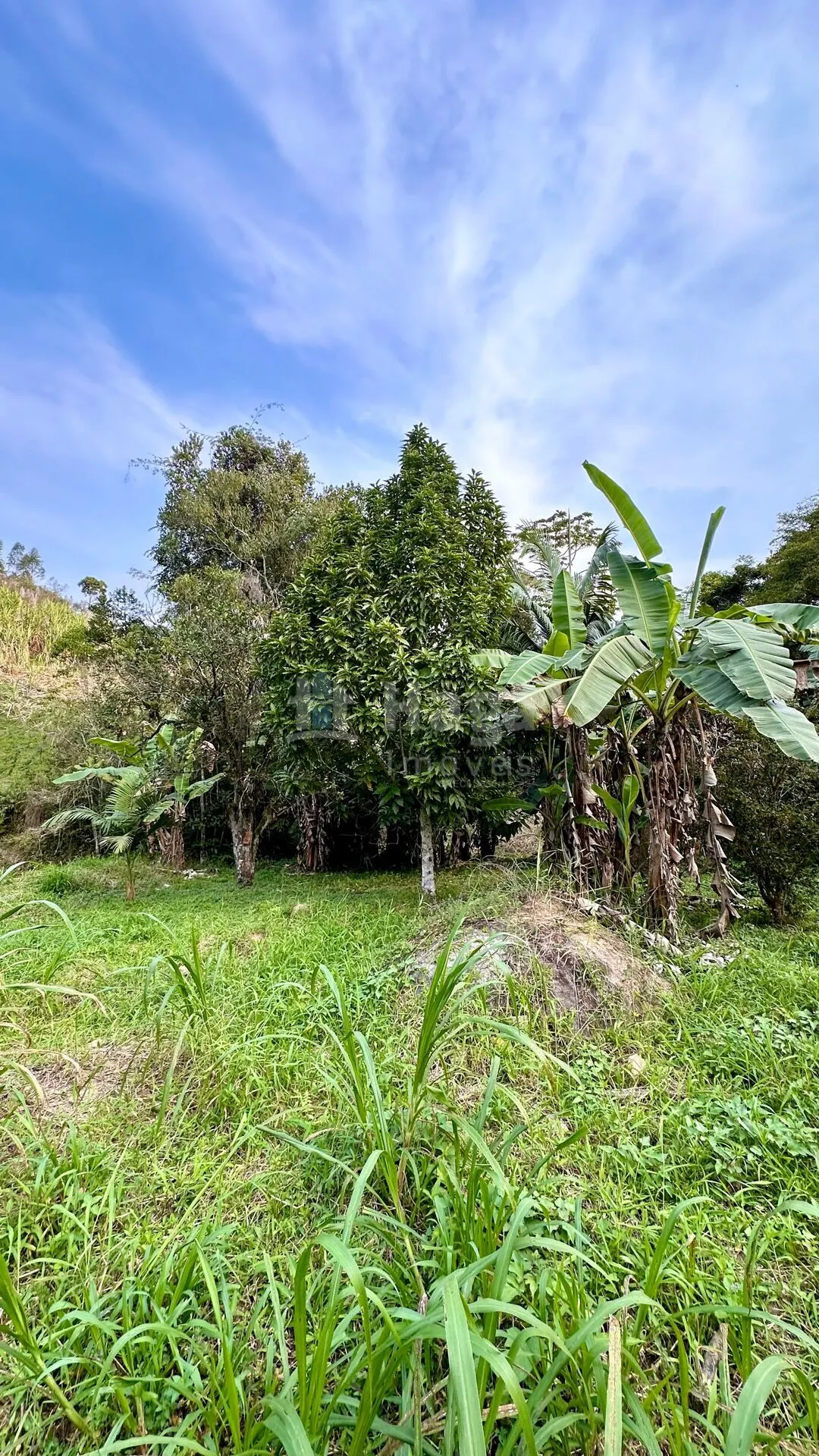 Fazenda à venda de 2 ha em São João Batista, SC, Brasil