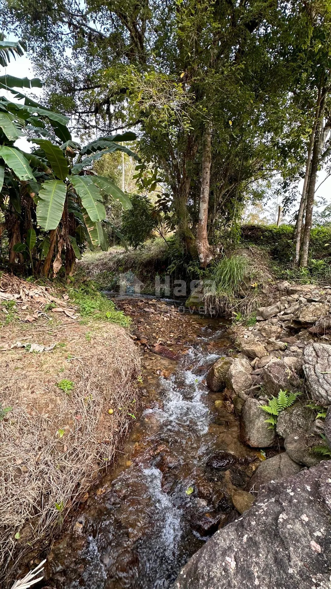 Fazenda à venda de 2 ha em São João Batista, SC, Brasil