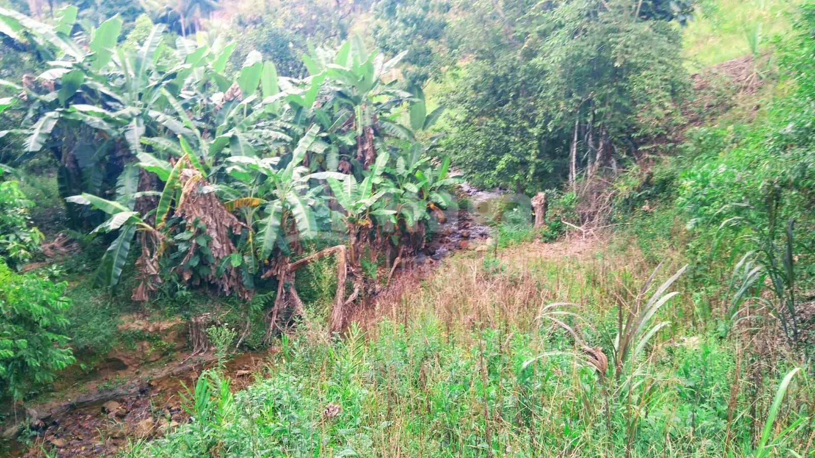 Fazenda à venda de 2 ha em São João Batista, SC, Brasil