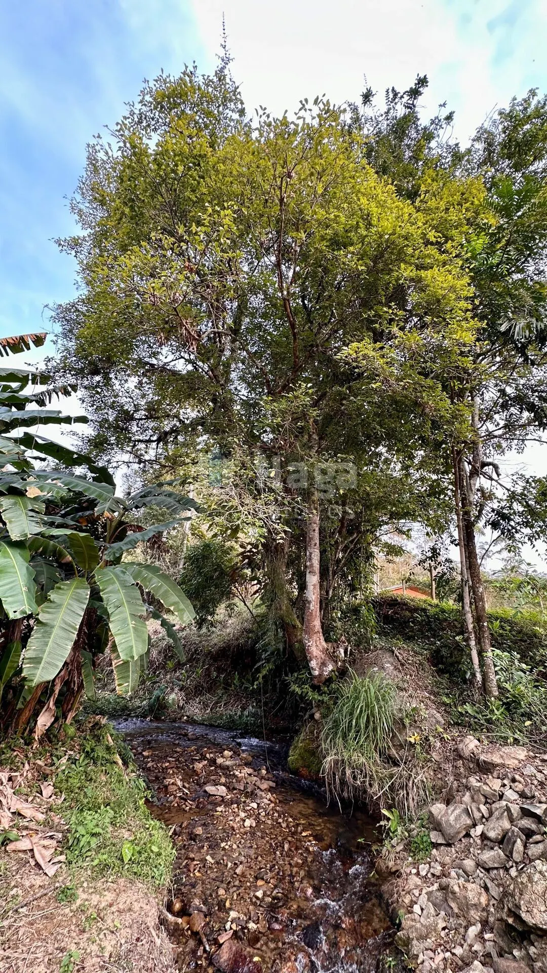 Fazenda à venda de 2 ha em São João Batista, SC, Brasil