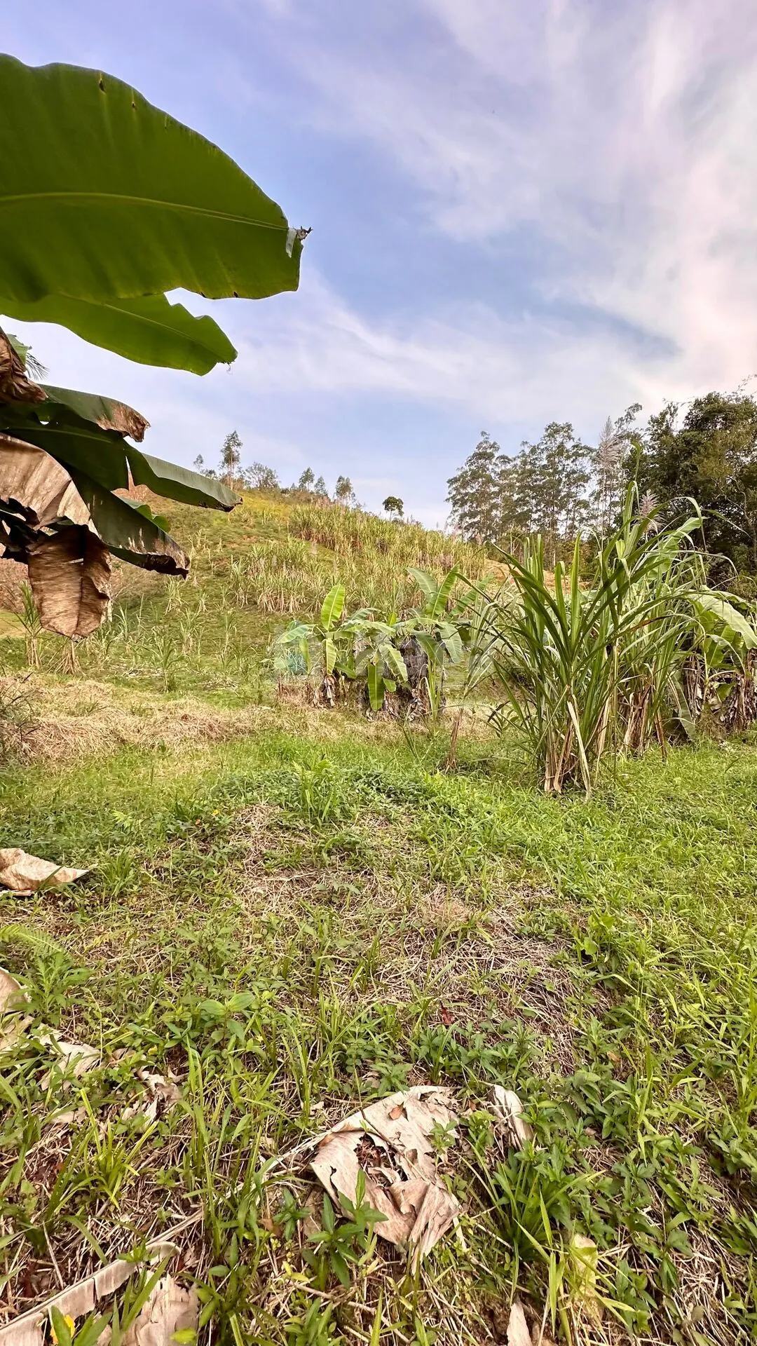Fazenda à venda de 2 ha em São João Batista, SC, Brasil
