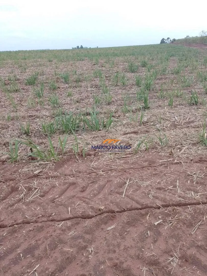 Fazenda à venda de 172 ha em Pirassununga, SP, Brasil