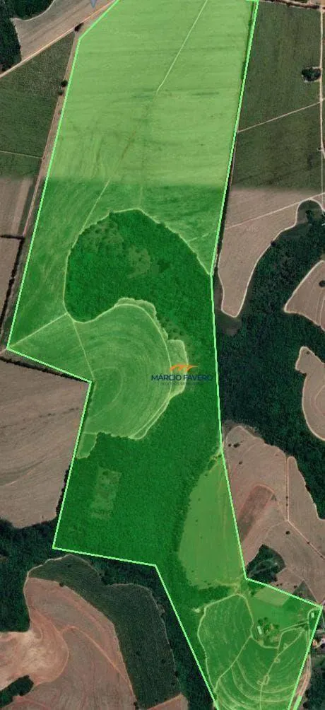 Fazenda à venda de 172 ha em Pirassununga, SP, Brasil