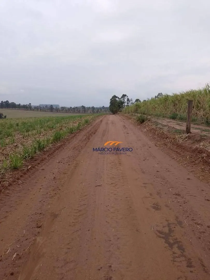 Fazenda à venda de 172 ha em Pirassununga, SP, Brasil