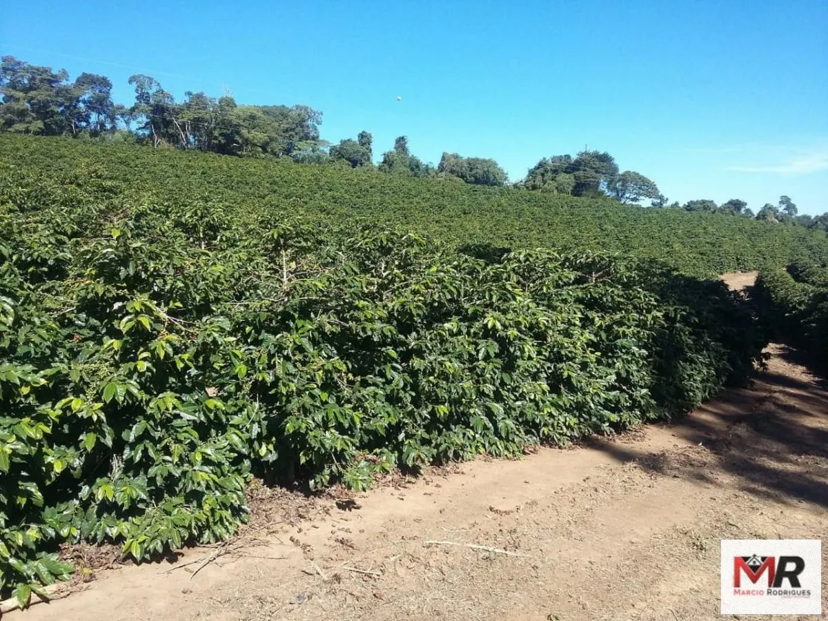 Fazenda à venda e para Arrendar de 768 ha em Campanha, MG, Brasil