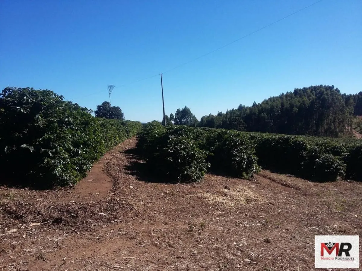 Fazenda à venda e para Arrendar de 768 ha em Campanha, MG, Brasil