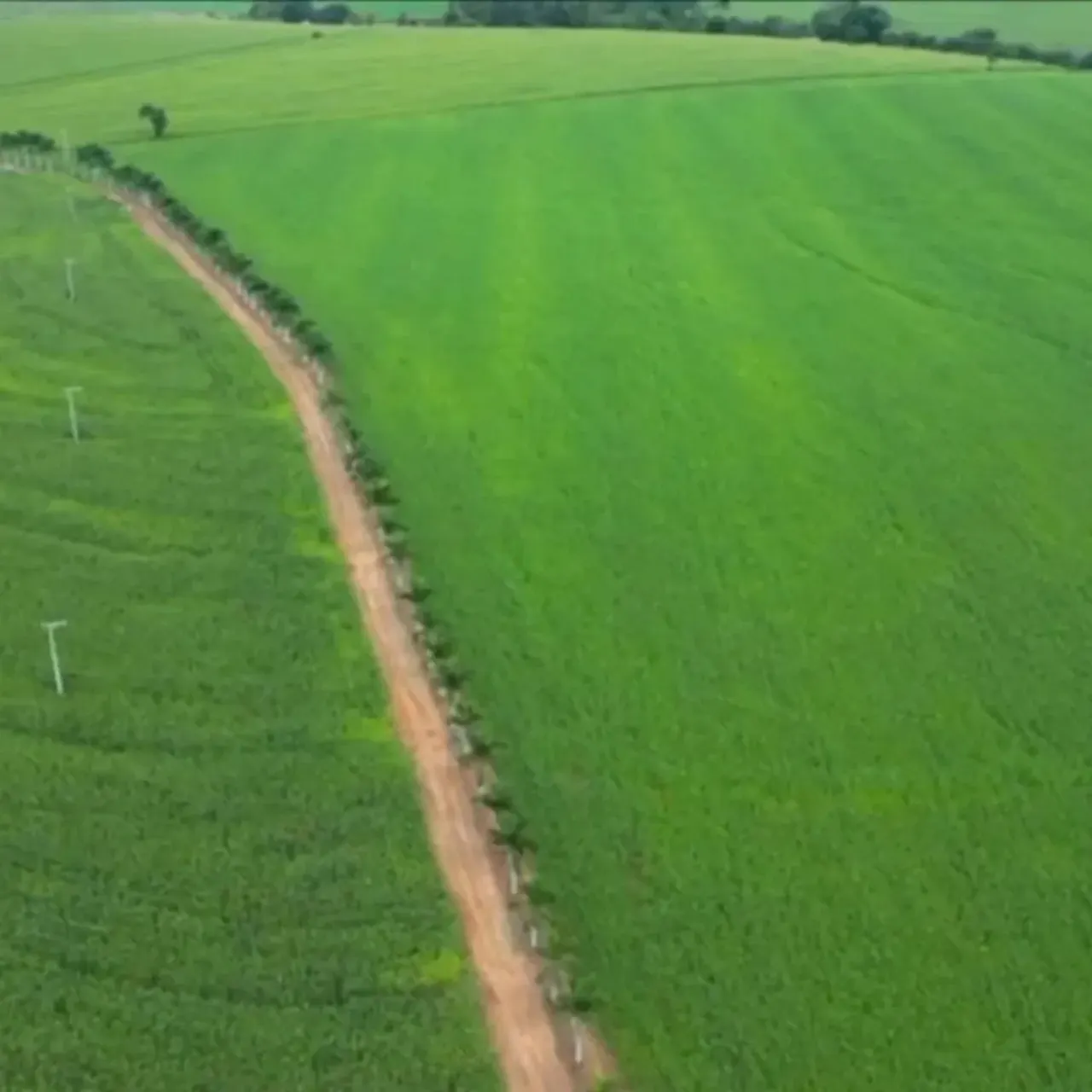 Fazenda à venda de 310 ha em Itaporanga, SP, Brasil