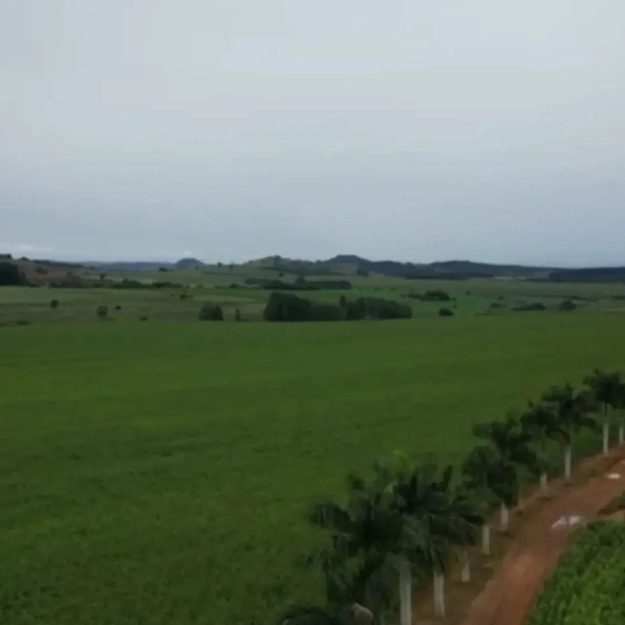 Fazenda à venda de 310 ha em Itaporanga, SP, Brasil