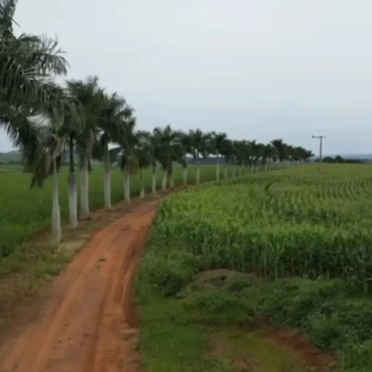Fazenda à venda de 310 ha em Itaporanga, SP, Brasil