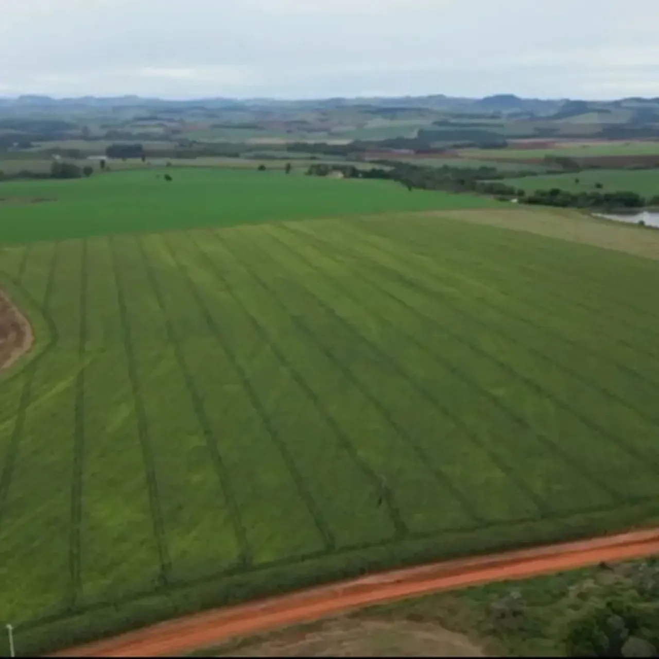 Fazenda à venda de 310 ha em Itaporanga, SP, Brasil