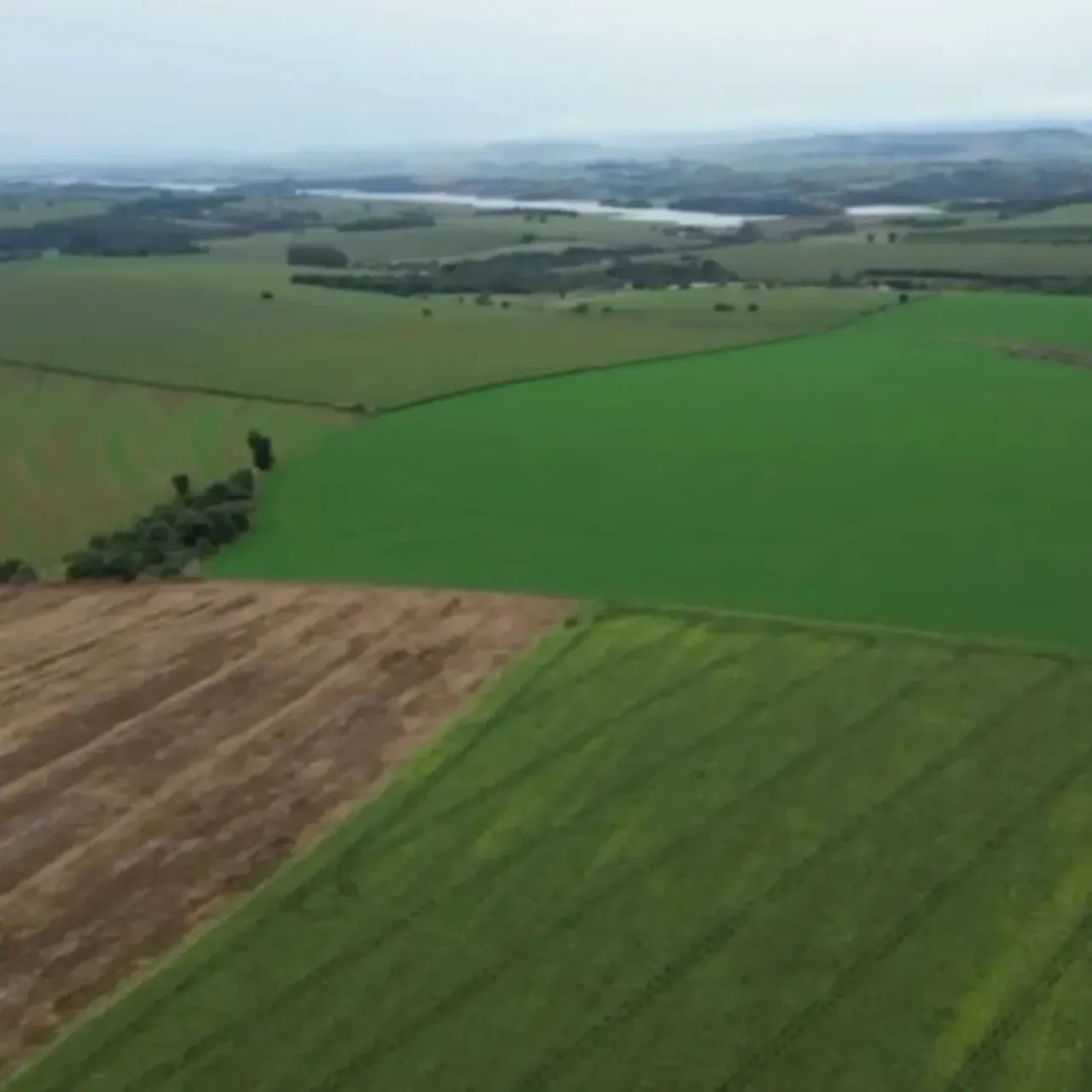 Fazenda à venda de 310 ha em Itaporanga, SP, Brasil