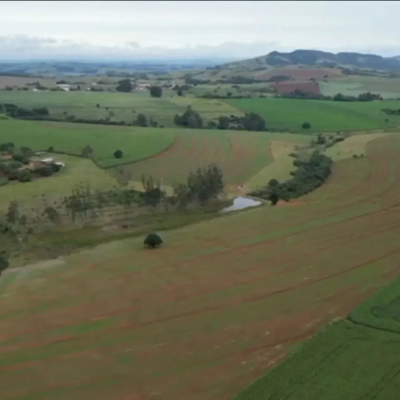 Fazenda à venda de 310 ha em Itaporanga, SP, Brasil