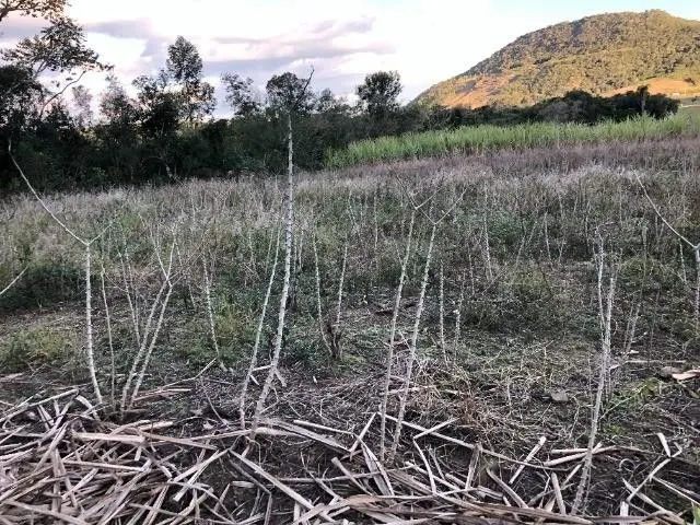 Plot for sale of 11 acres in Santo Antônio da Patrulha, RS, Brazil