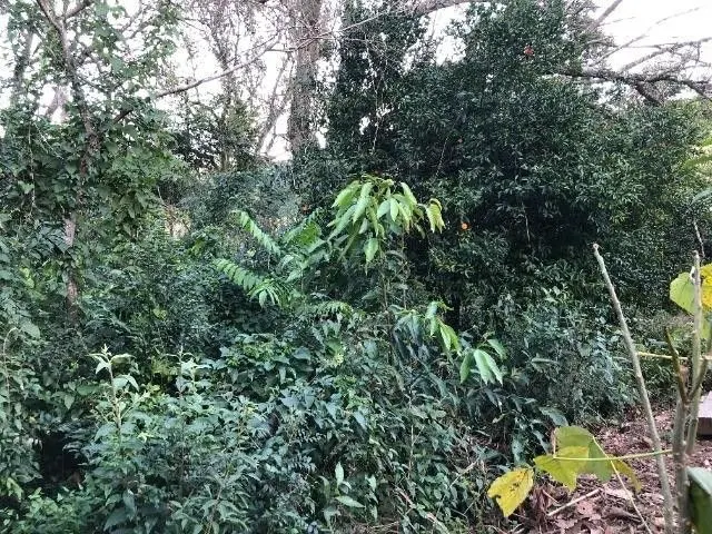 Plot for sale of 11 acres in Santo Antônio da Patrulha, RS, Brazil