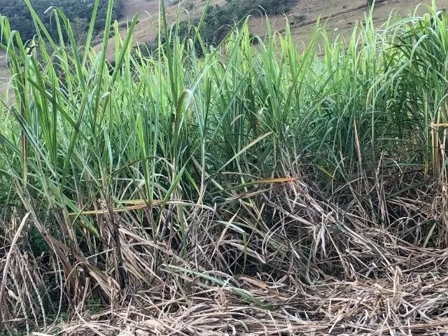 Plot for sale of 11 acres in Santo Antônio da Patrulha, RS, Brazil