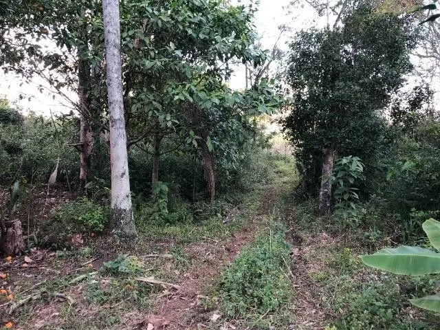 Plot for sale of 11 acres in Santo Antônio da Patrulha, RS, Brazil