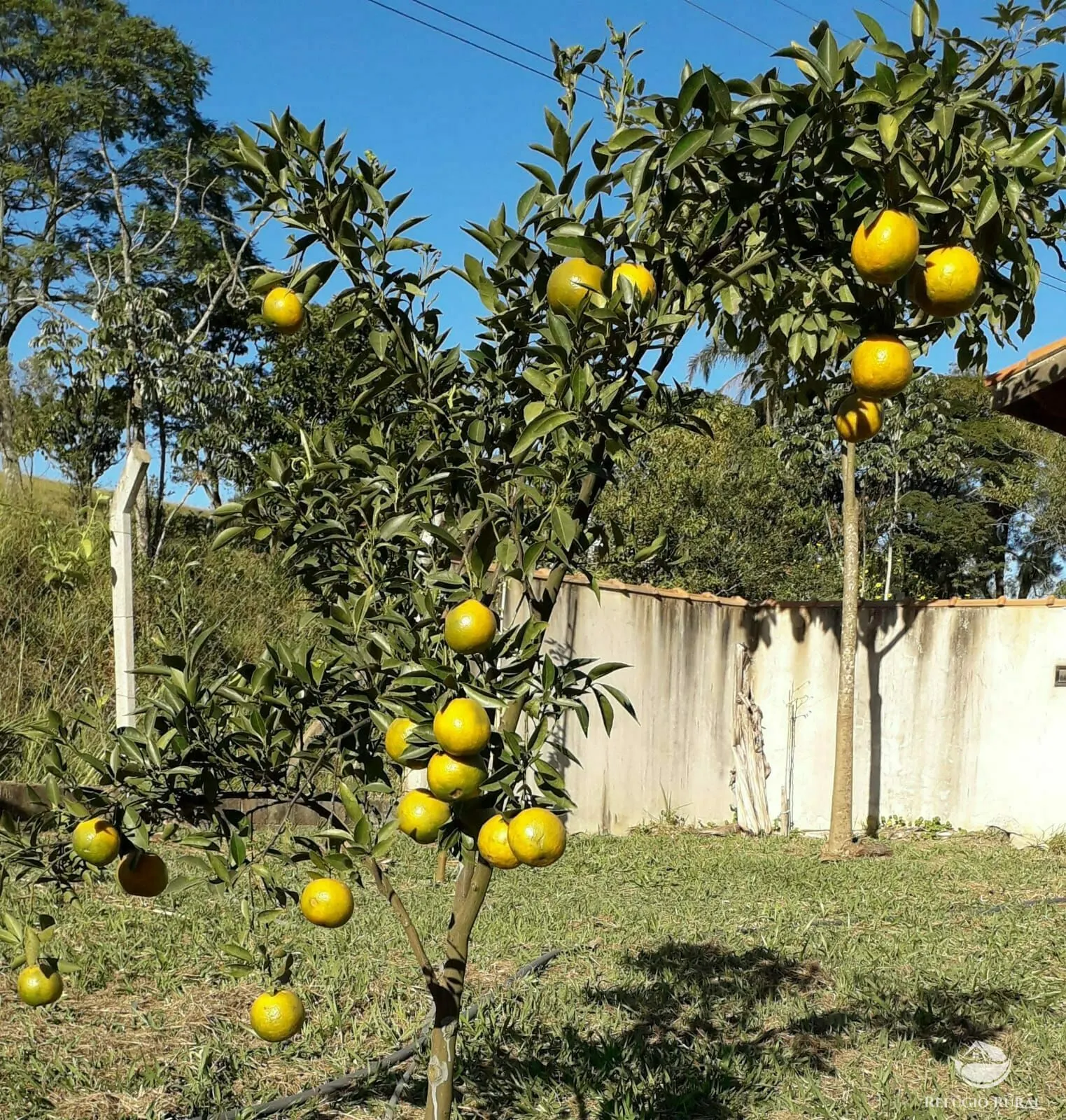Chácara à venda de 5.000 m² em Caçapava, SP, Brasil