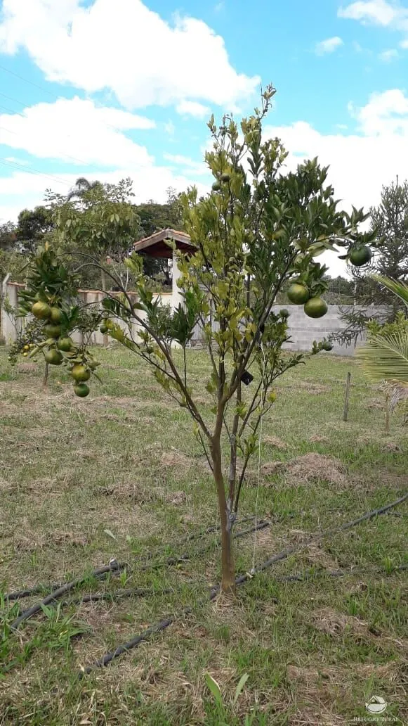 Chácara à venda de 5.000 m² em Caçapava, SP, Brasil