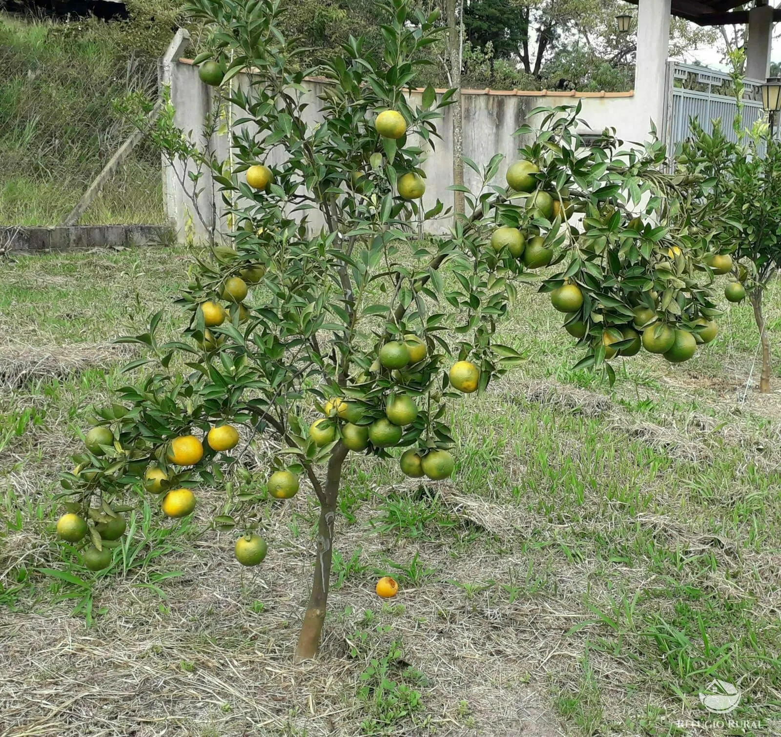 Chácara à venda de 5.000 m² em Caçapava, SP, Brasil