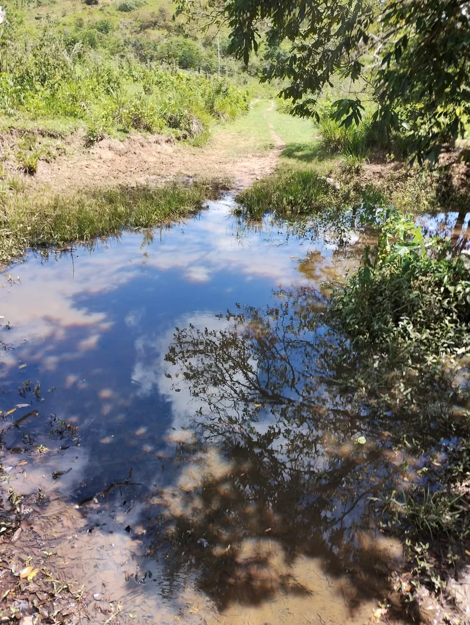 Fazenda à venda de 198 ha em Divino das Laranjeiras, MG, Brasil