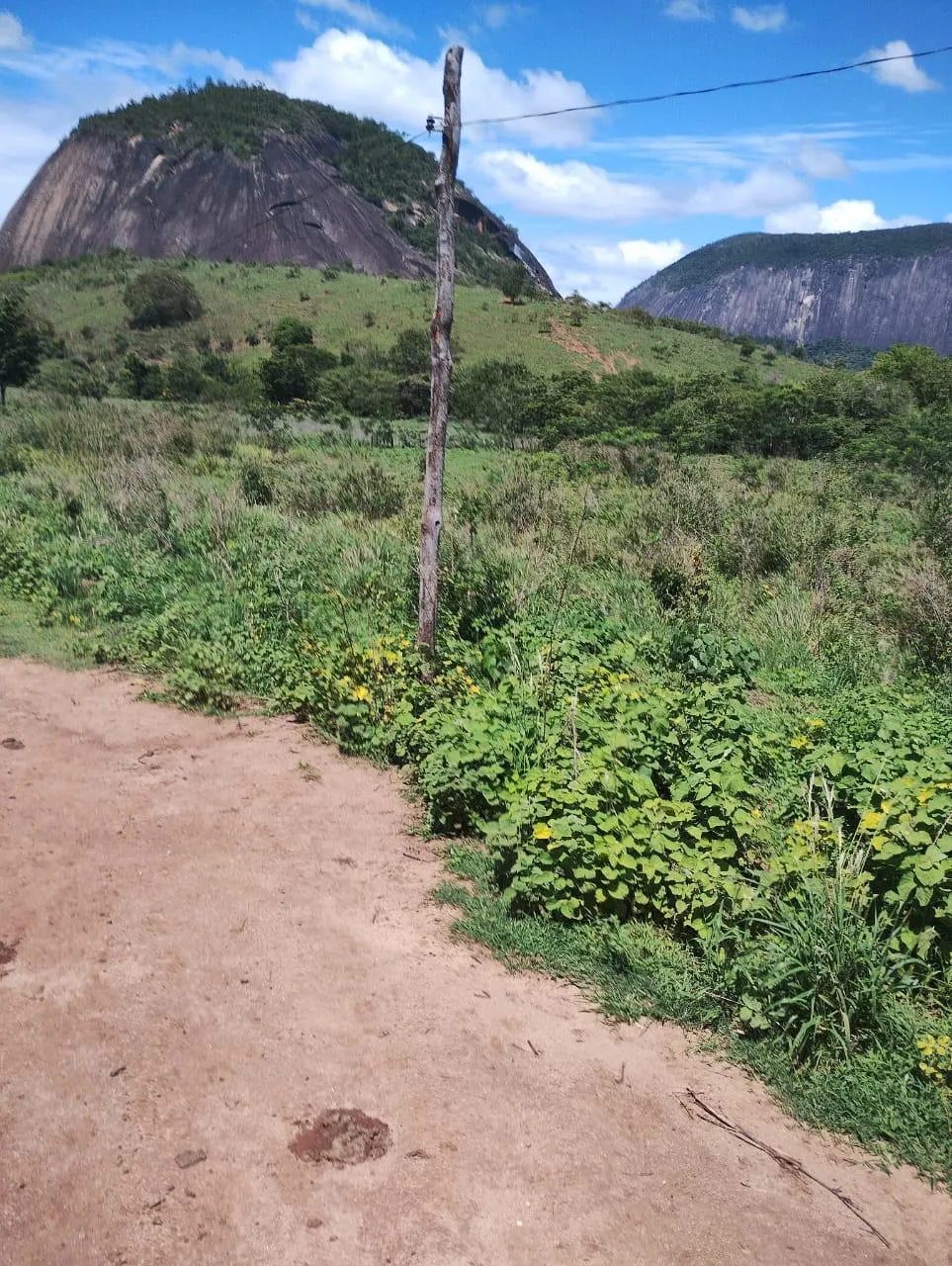 Fazenda à venda de 198 ha em Divino das Laranjeiras, MG, Brasil