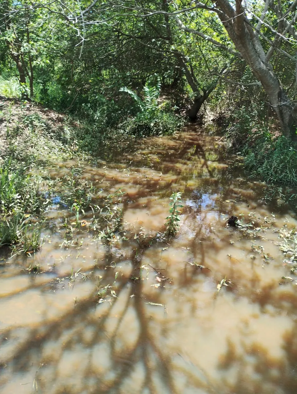 Fazenda à venda de 198 ha em Divino das Laranjeiras, MG, Brasil