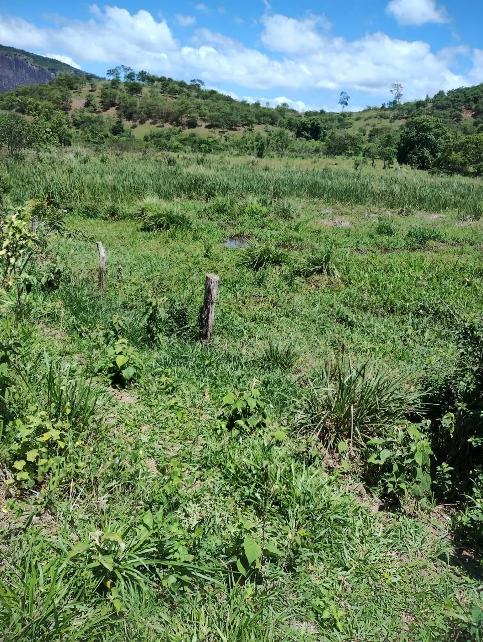 Fazenda à venda de 198 ha em Divino das Laranjeiras, MG, Brasil
